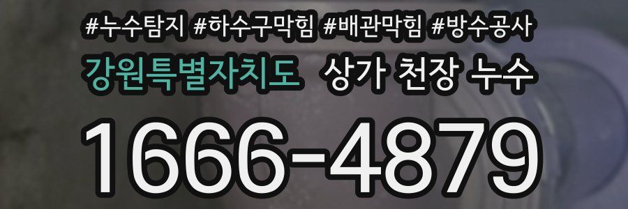 강원특별자치도 상가 천장 누수