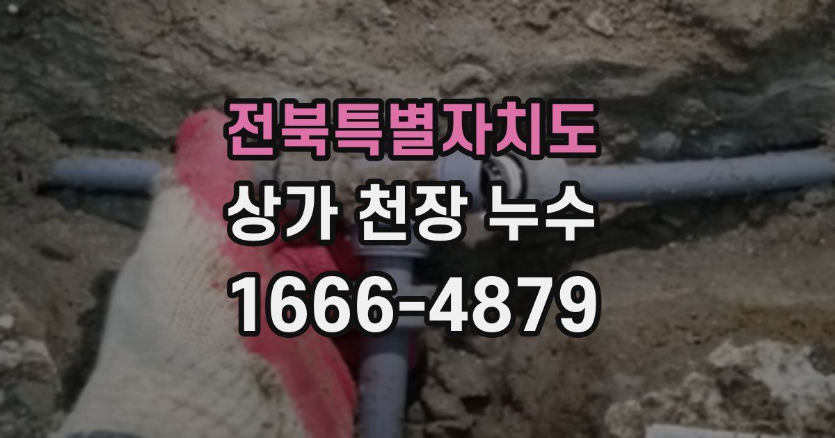 전북특별자치도 상가 천장 누수
