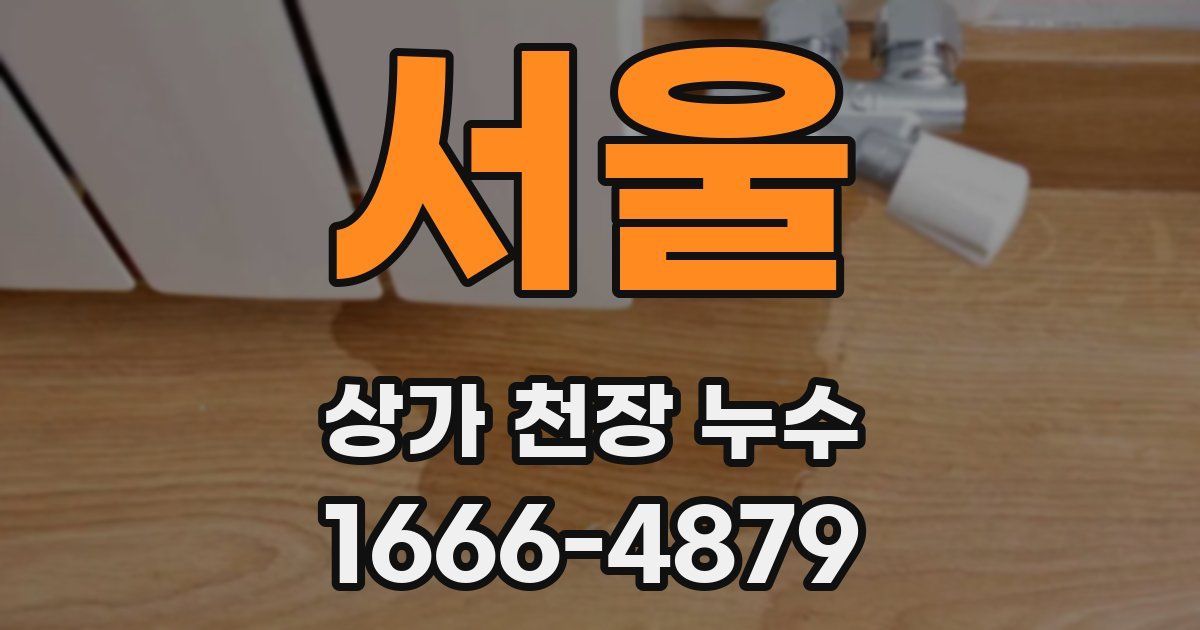 서울 상가 천장 누수