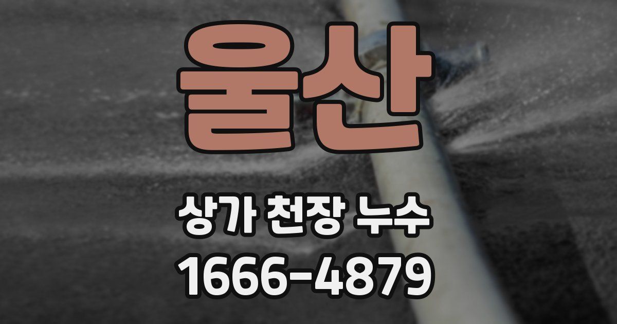 울산 상가 천장 누수
