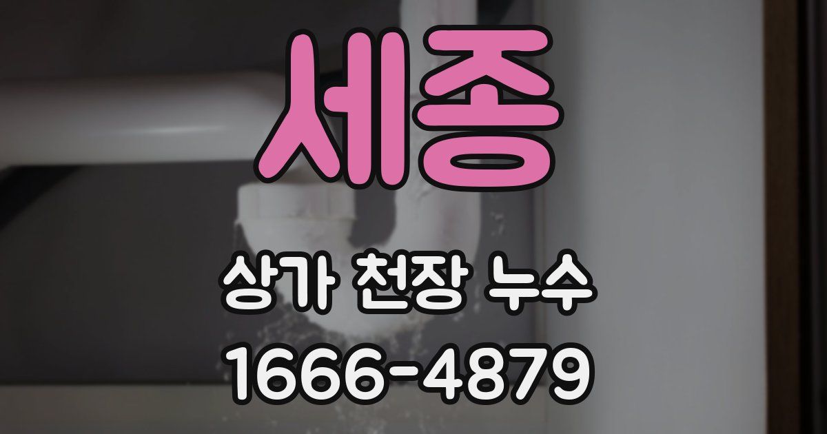 세종 상가 천장 누수