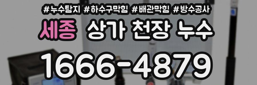 세종 상가 천장 누수