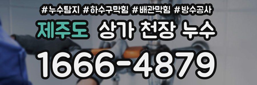 제주도 상가 천장 누수