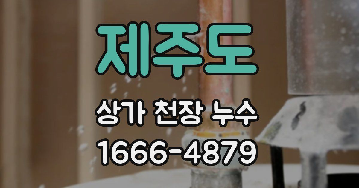 제주도 상가 천장 누수