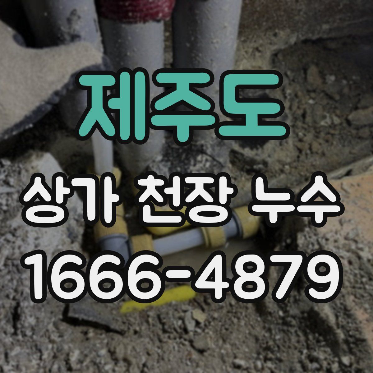 제주도 상가 천장 누수