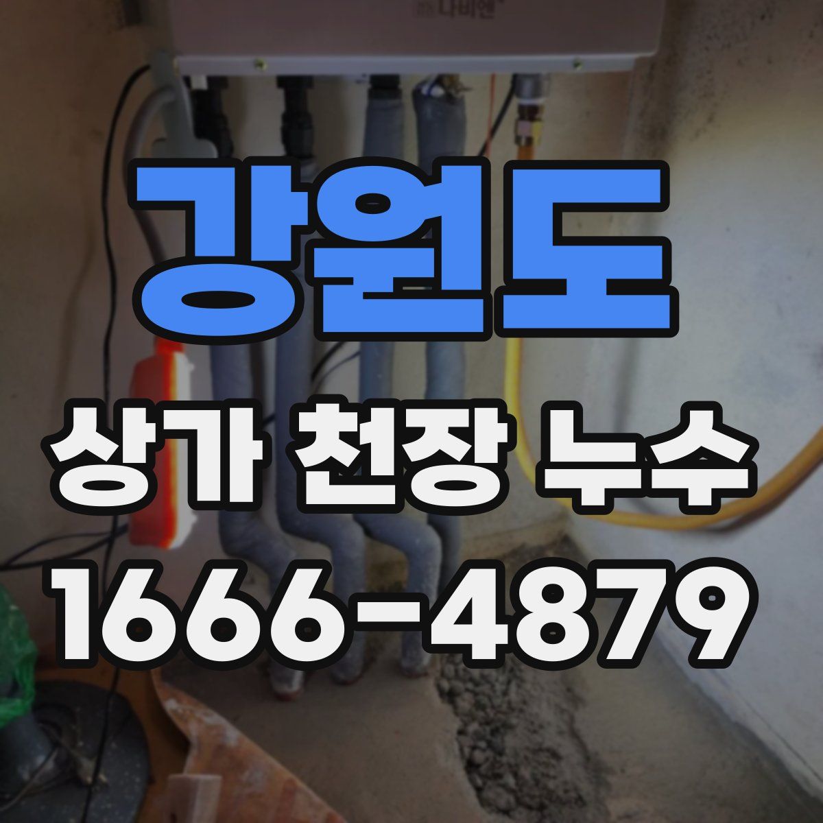 강원도 상가 천장 누수