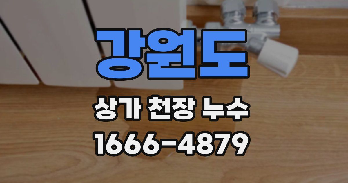 강원도 상가 천장 누수
