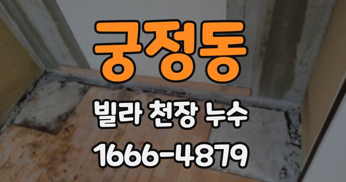 궁정동 빌라 천장 누수