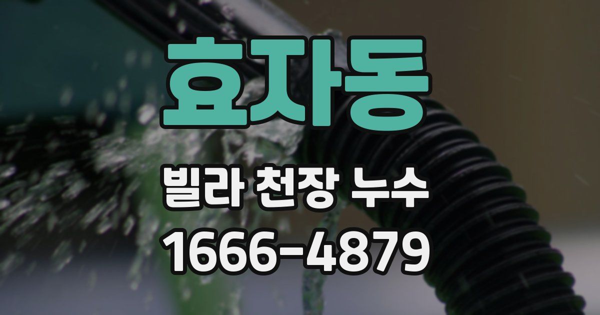 효자동 빌라 천장 누수