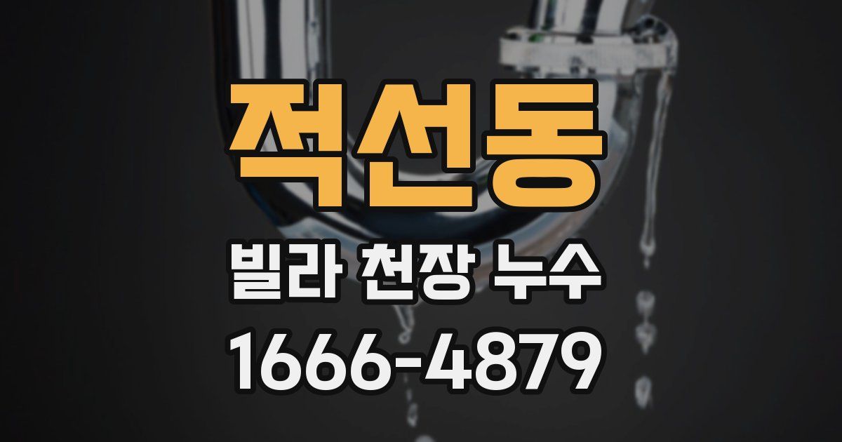 적선동 빌라 천장 누수