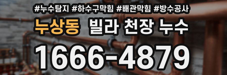 누상동 빌라 천장 누수