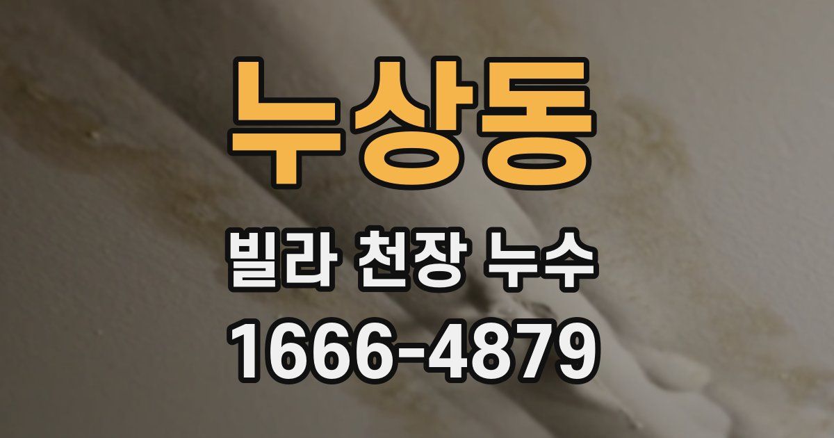 누상동 빌라 천장 누수