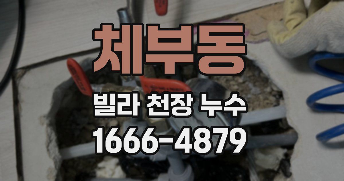 체부동 빌라 천장 누수