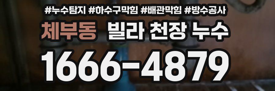체부동 빌라 천장 누수