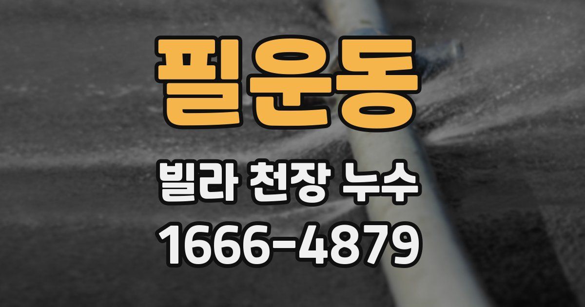 필운동 빌라 천장 누수