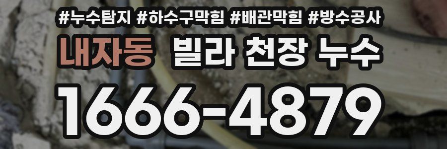 내자동 빌라 천장 누수