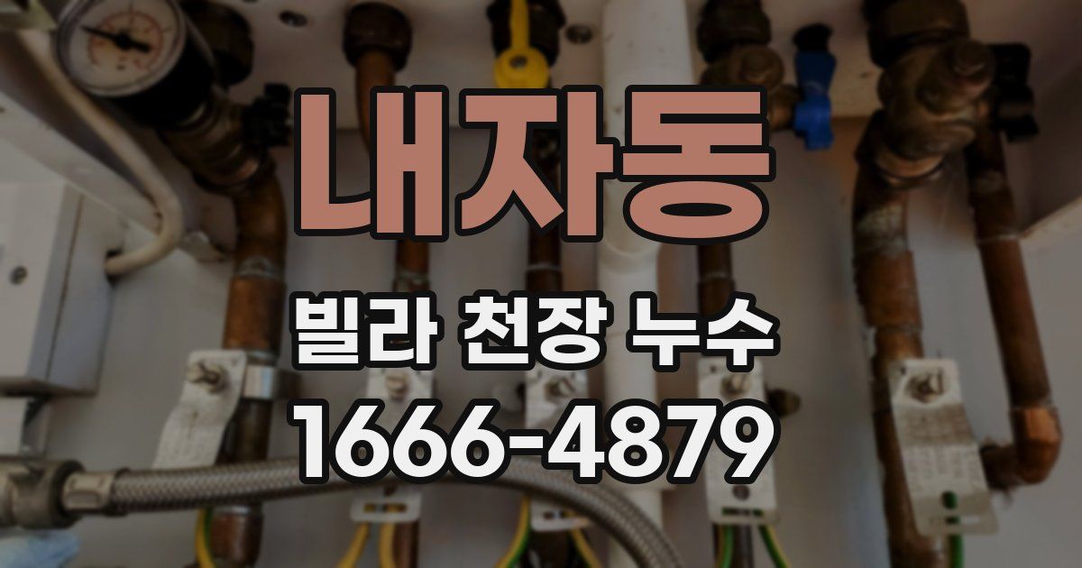 내자동 빌라 천장 누수