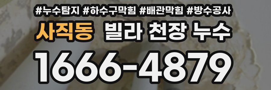 사직동 빌라 천장 누수
