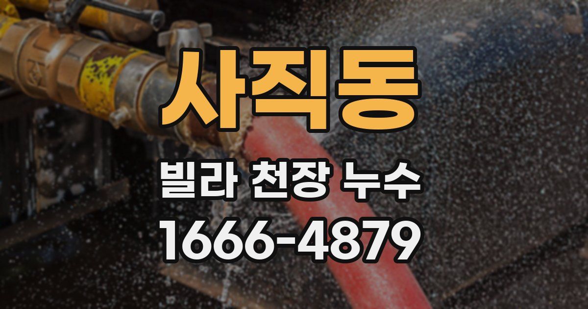사직동 빌라 천장 누수