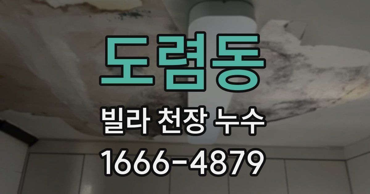 도렴동 빌라 천장 누수