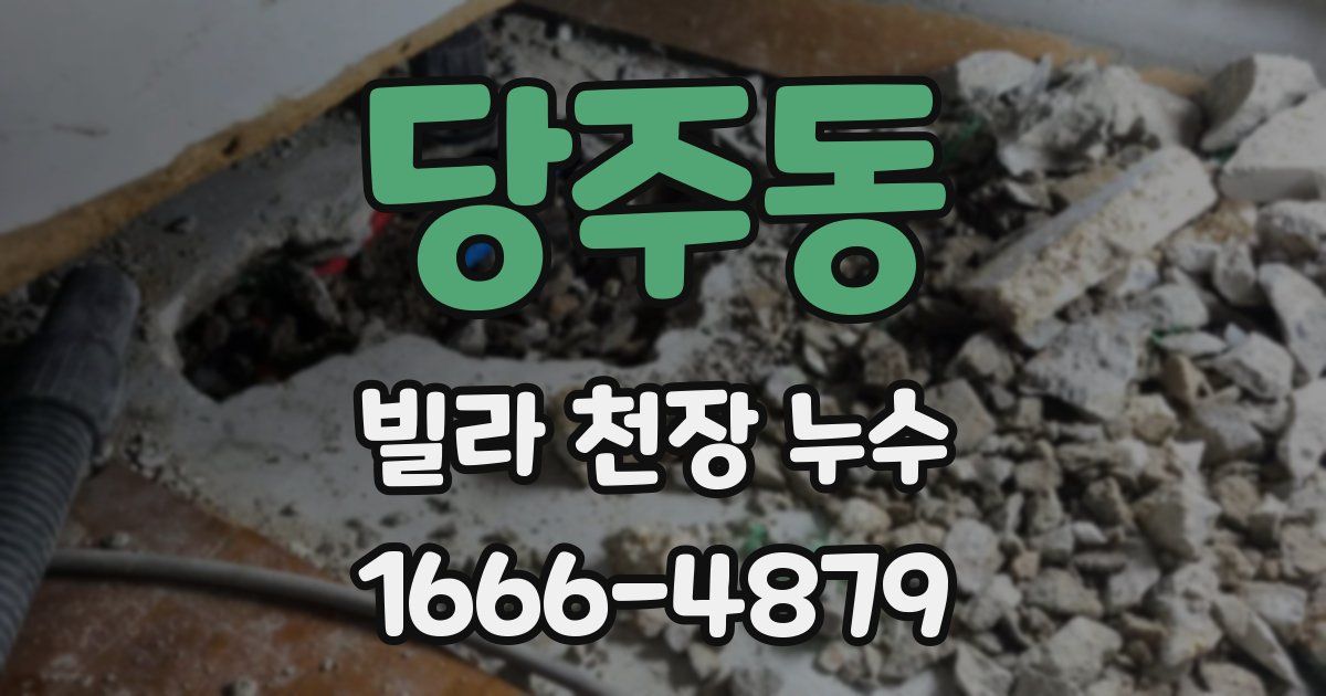 당주동 빌라 천장 누수