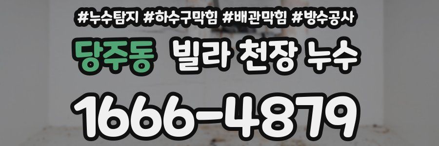 당주동 빌라 천장 누수