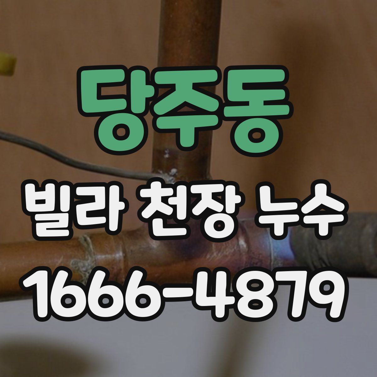 당주동 빌라 천장 누수