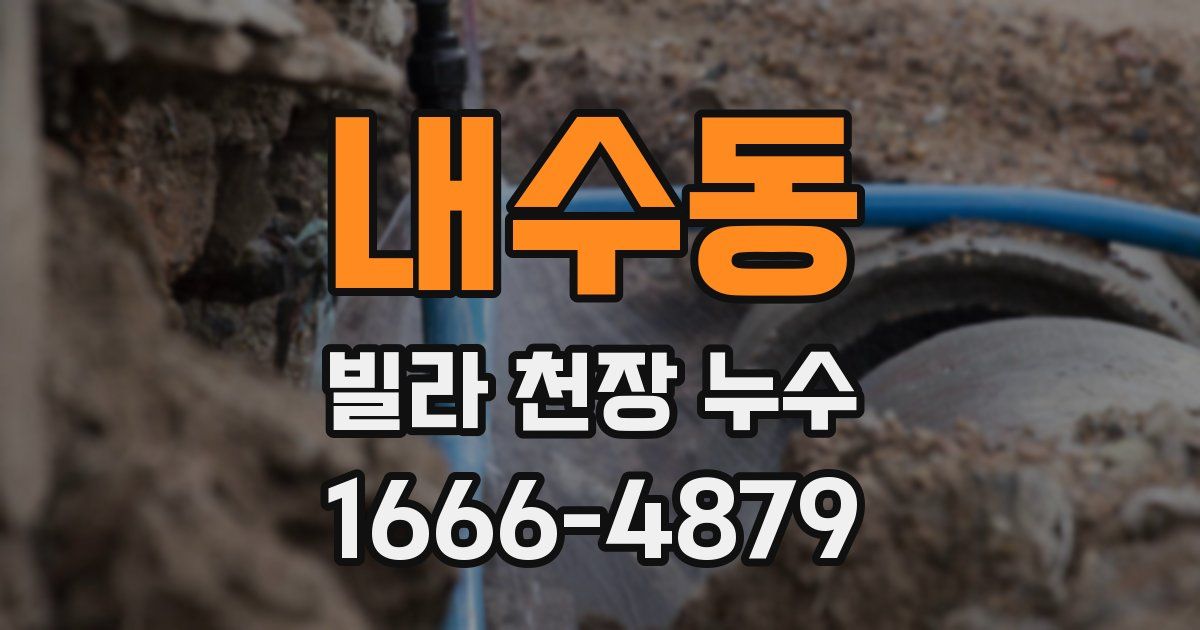 내수동 빌라 천장 누수