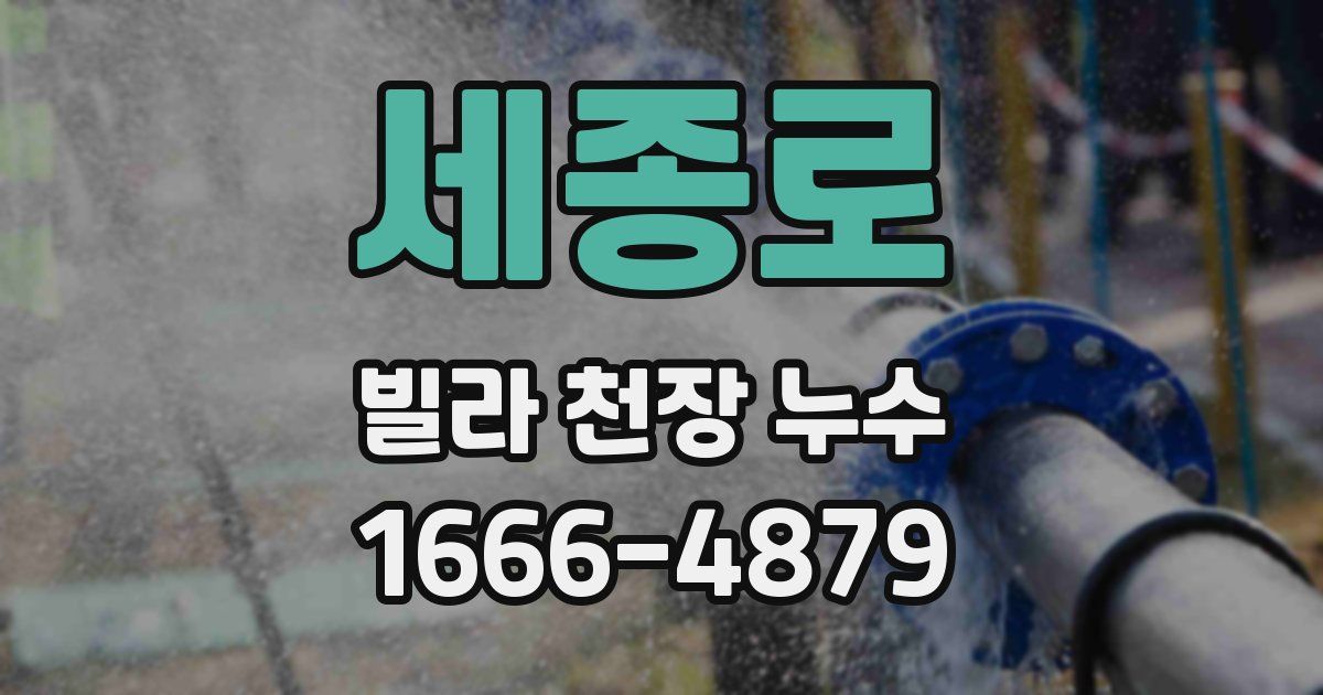 세종로 빌라 천장 누수