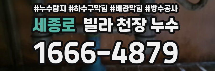 세종로 빌라 천장 누수