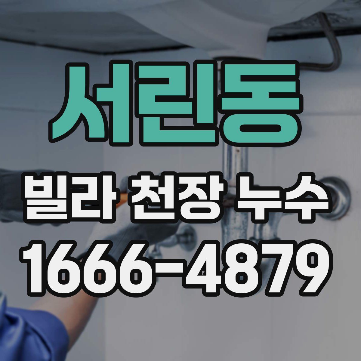 서린동 빌라 천장 누수