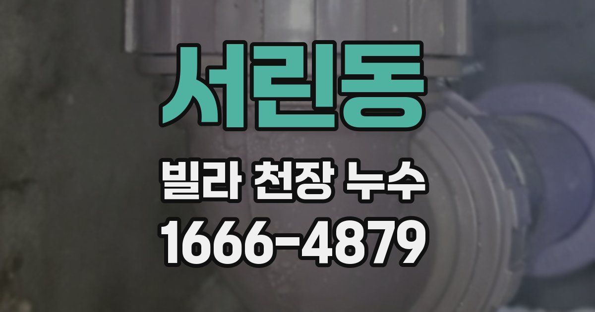 서린동 빌라 천장 누수