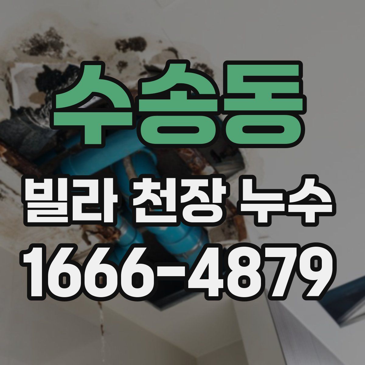 수송동 빌라 천장 누수