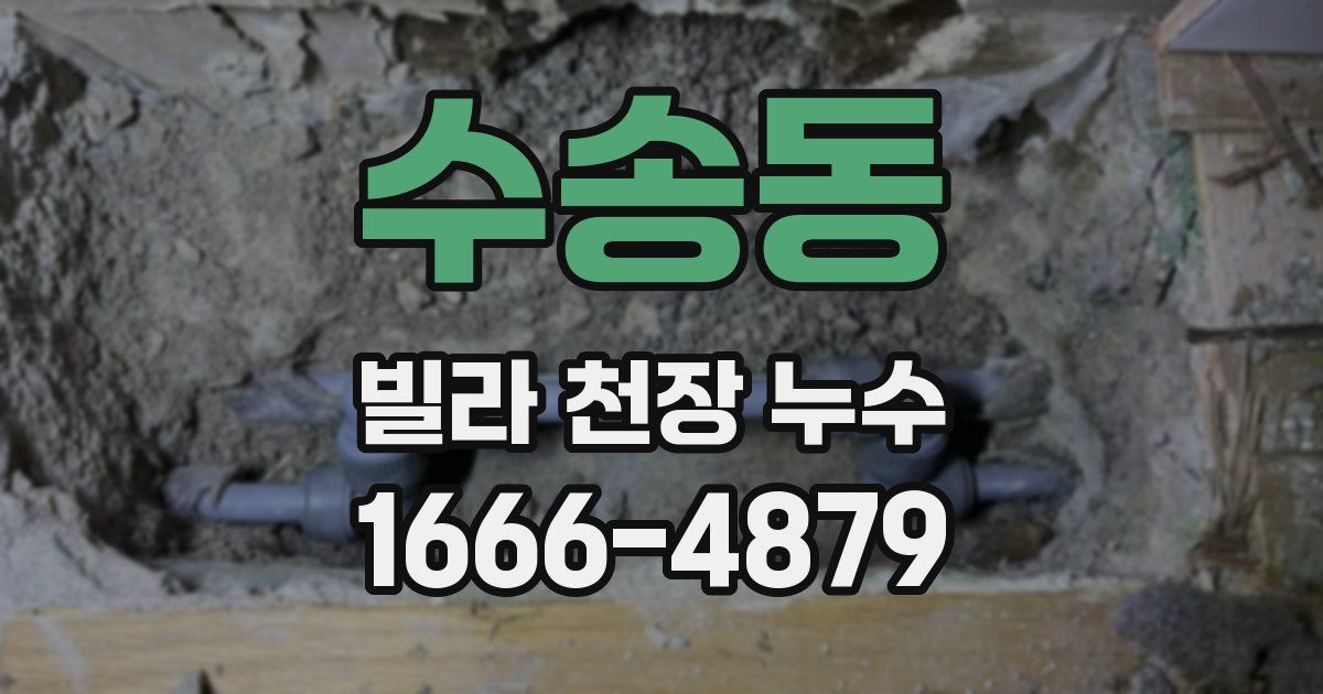 수송동 빌라 천장 누수