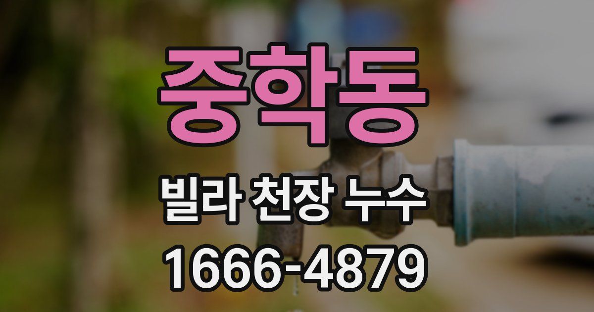 중학동 빌라 천장 누수