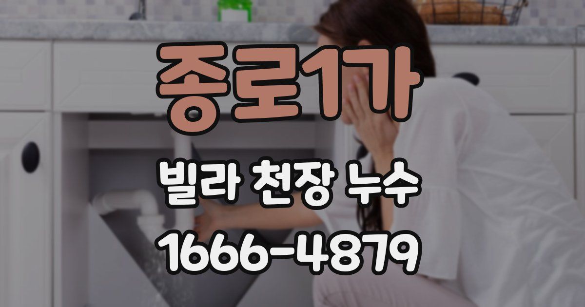 종로1가 빌라 천장 누수