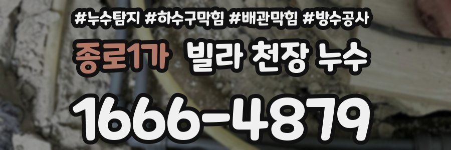 종로1가 빌라 천장 누수