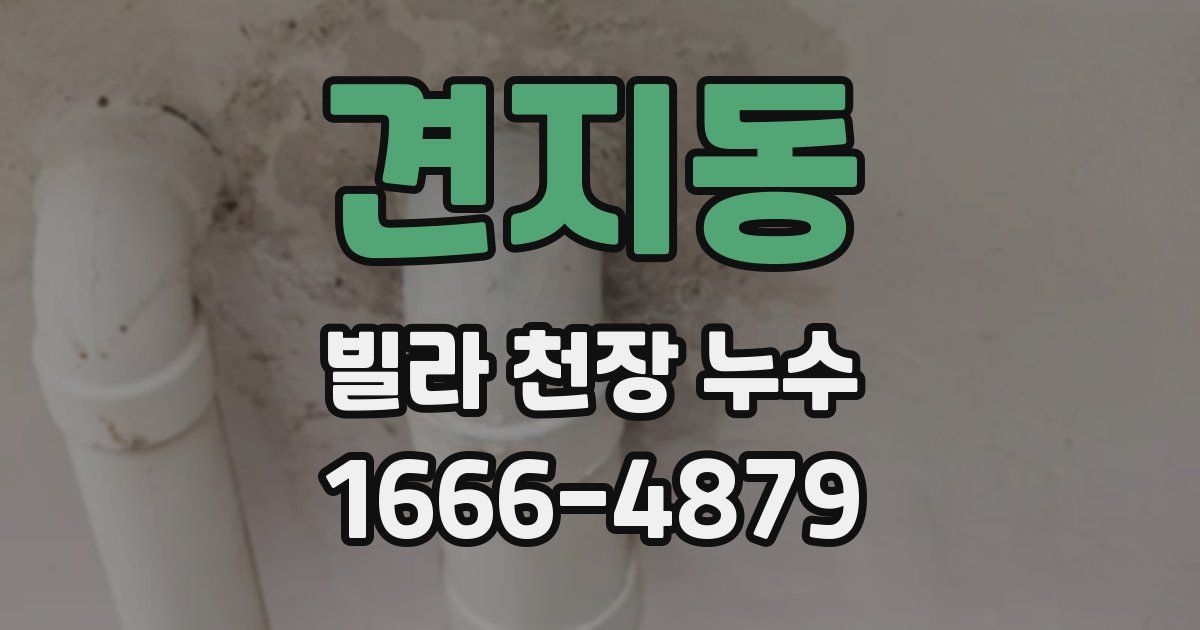견지동 빌라 천장 누수