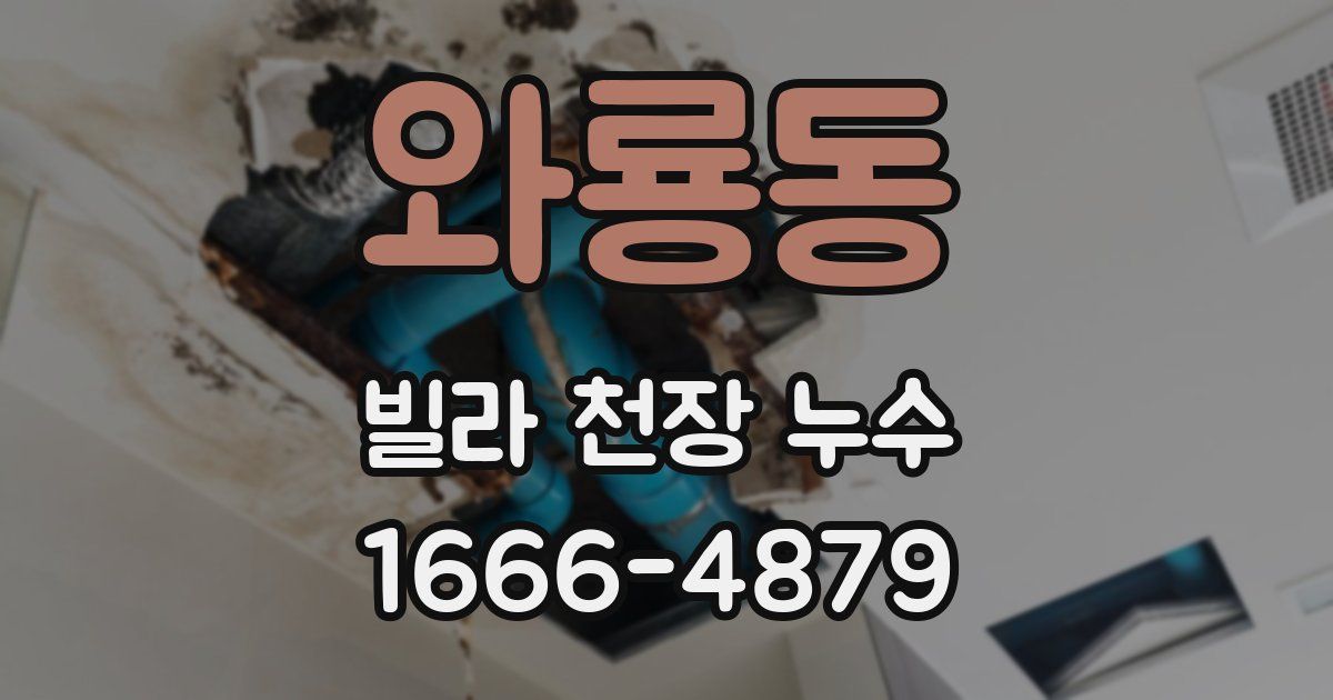 와룡동 빌라 천장 누수