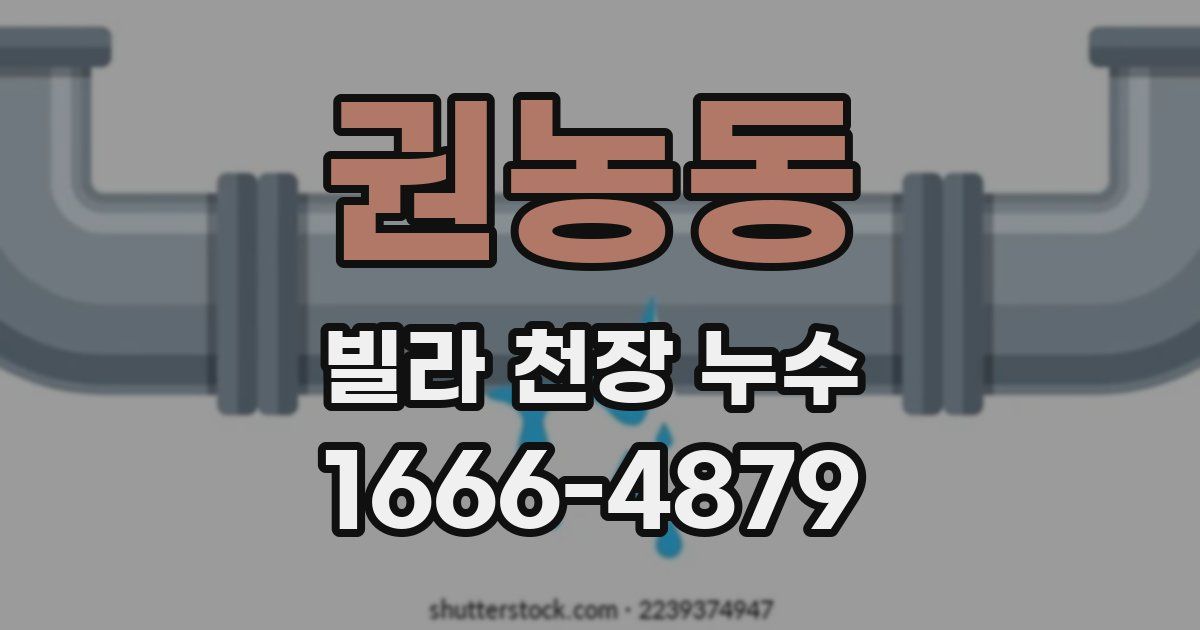 권농동 빌라 천장 누수