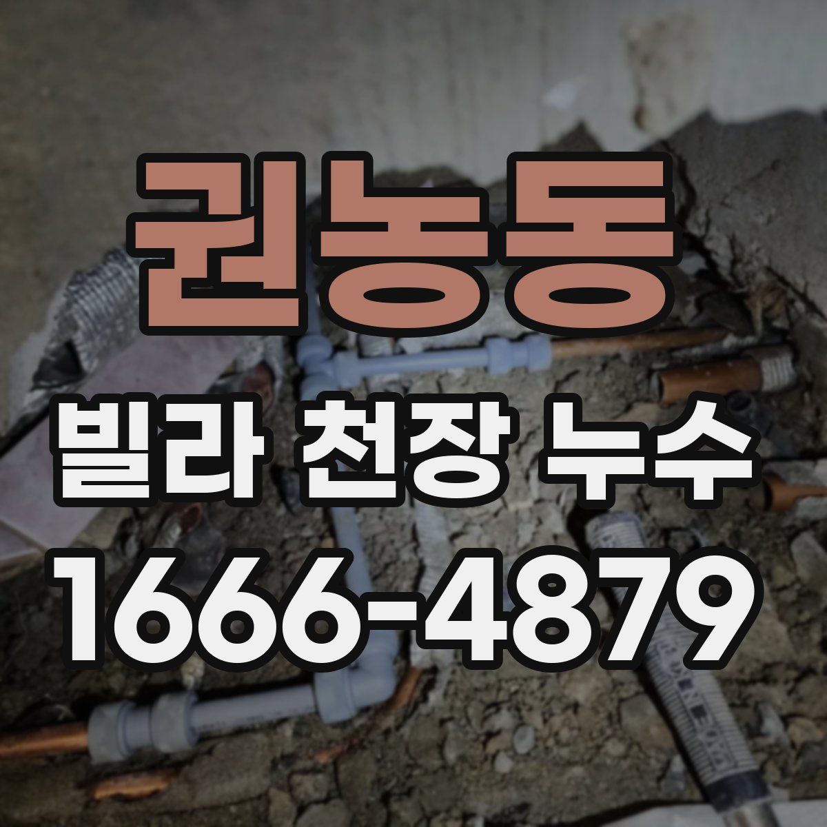 권농동 빌라 천장 누수