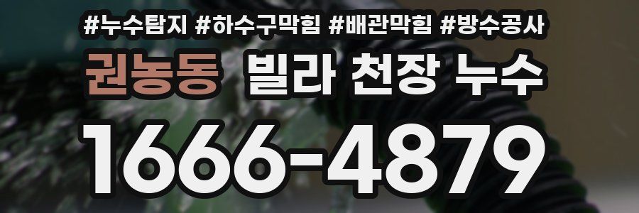 권농동 빌라 천장 누수
