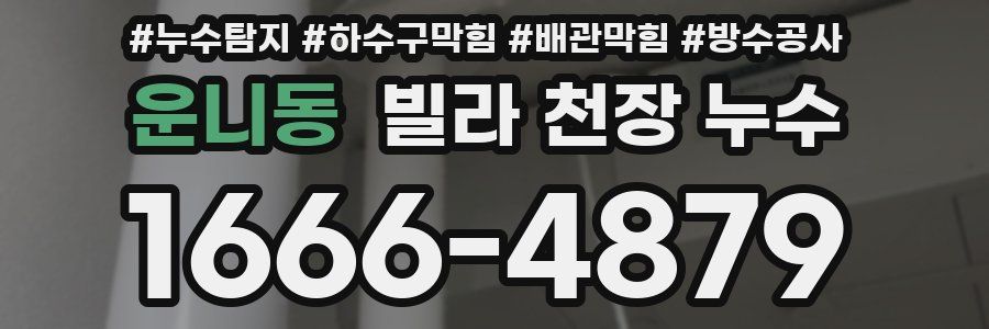 운니동 빌라 천장 누수