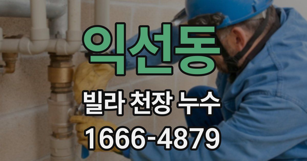 익선동 빌라 천장 누수
