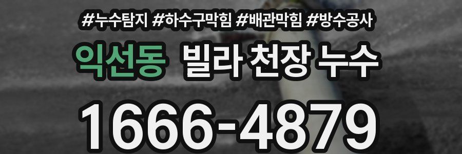익선동 빌라 천장 누수