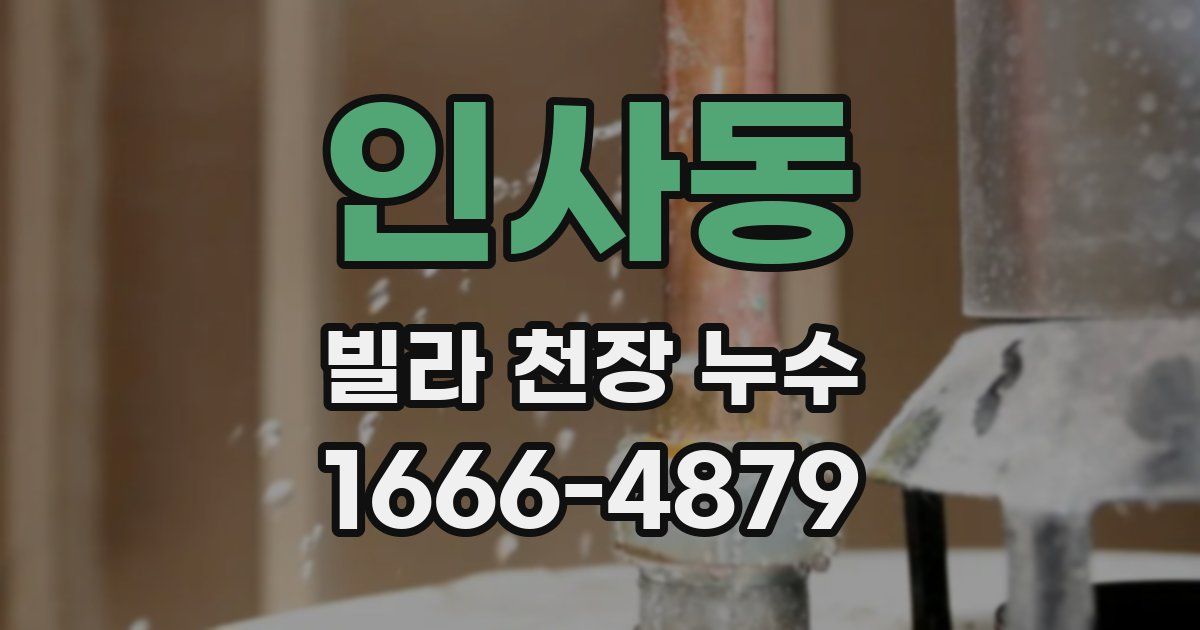 인사동 빌라 천장 누수