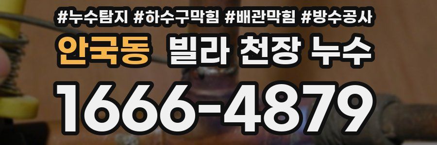 안국동 빌라 천장 누수