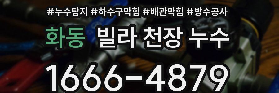 화동 빌라 천장 누수