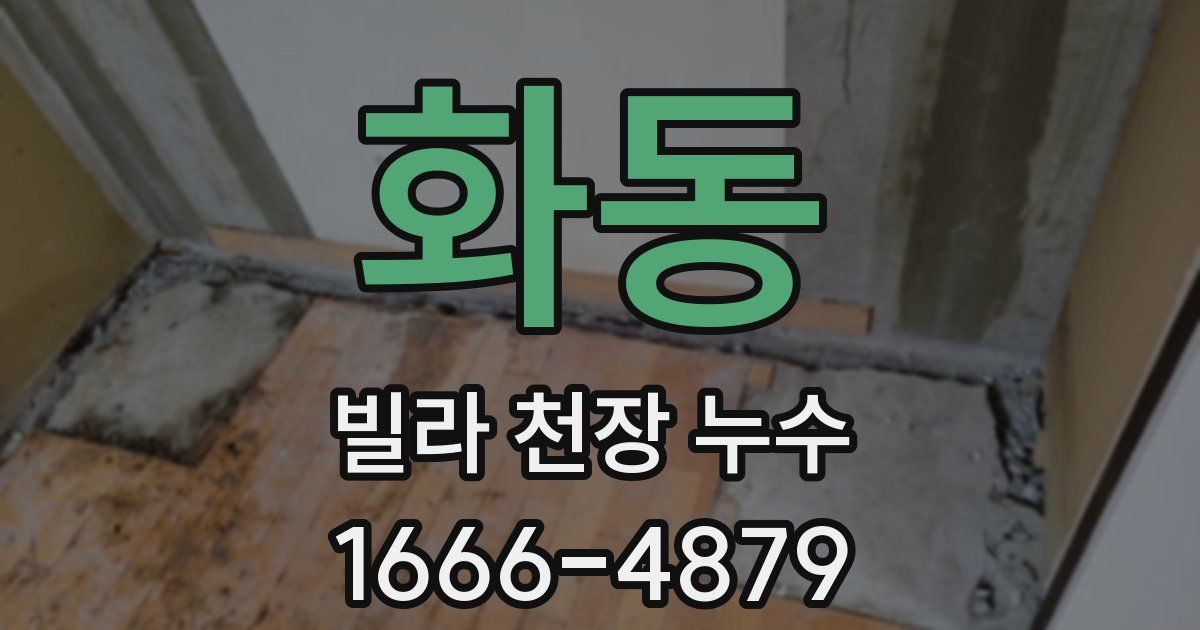 화동 빌라 천장 누수