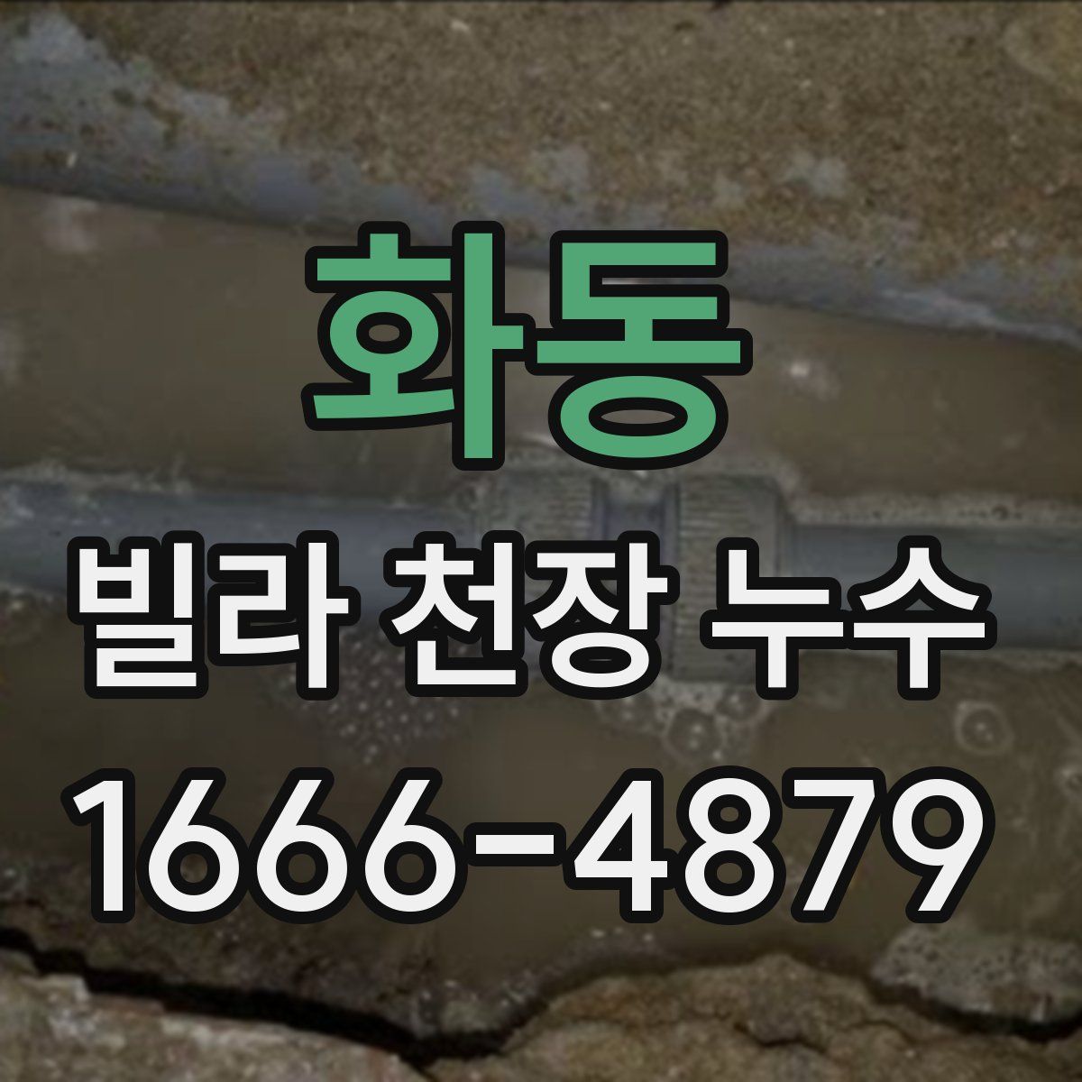 화동 빌라 천장 누수